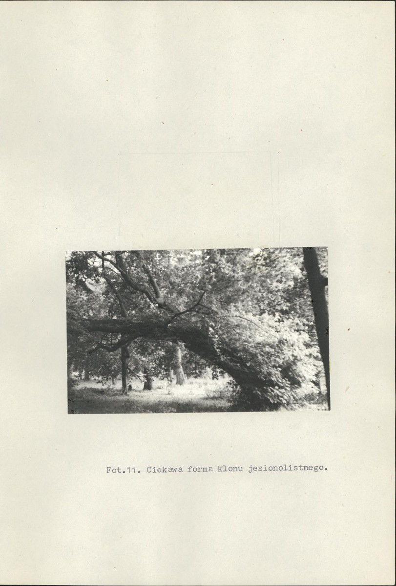 Ewidencja parkowa, skan nr 36