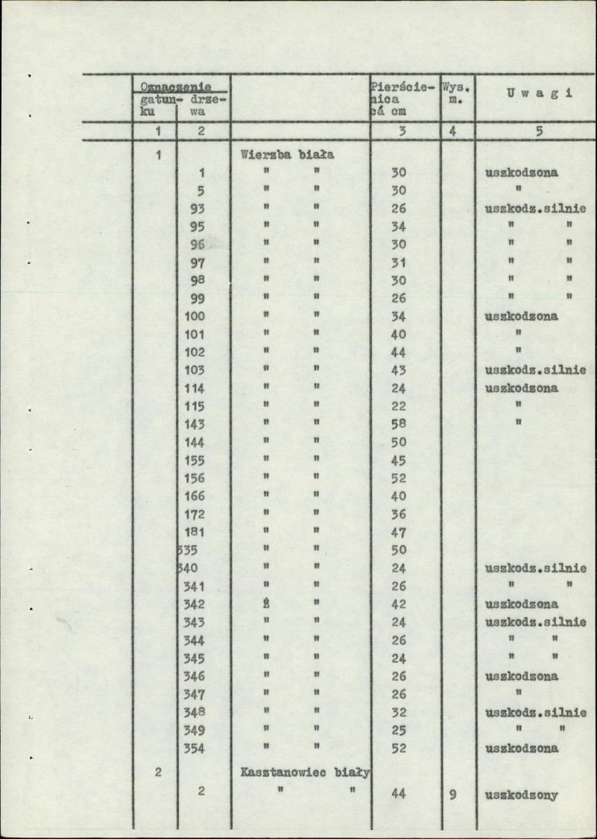 Ewidencja parkowa, skan nr 16