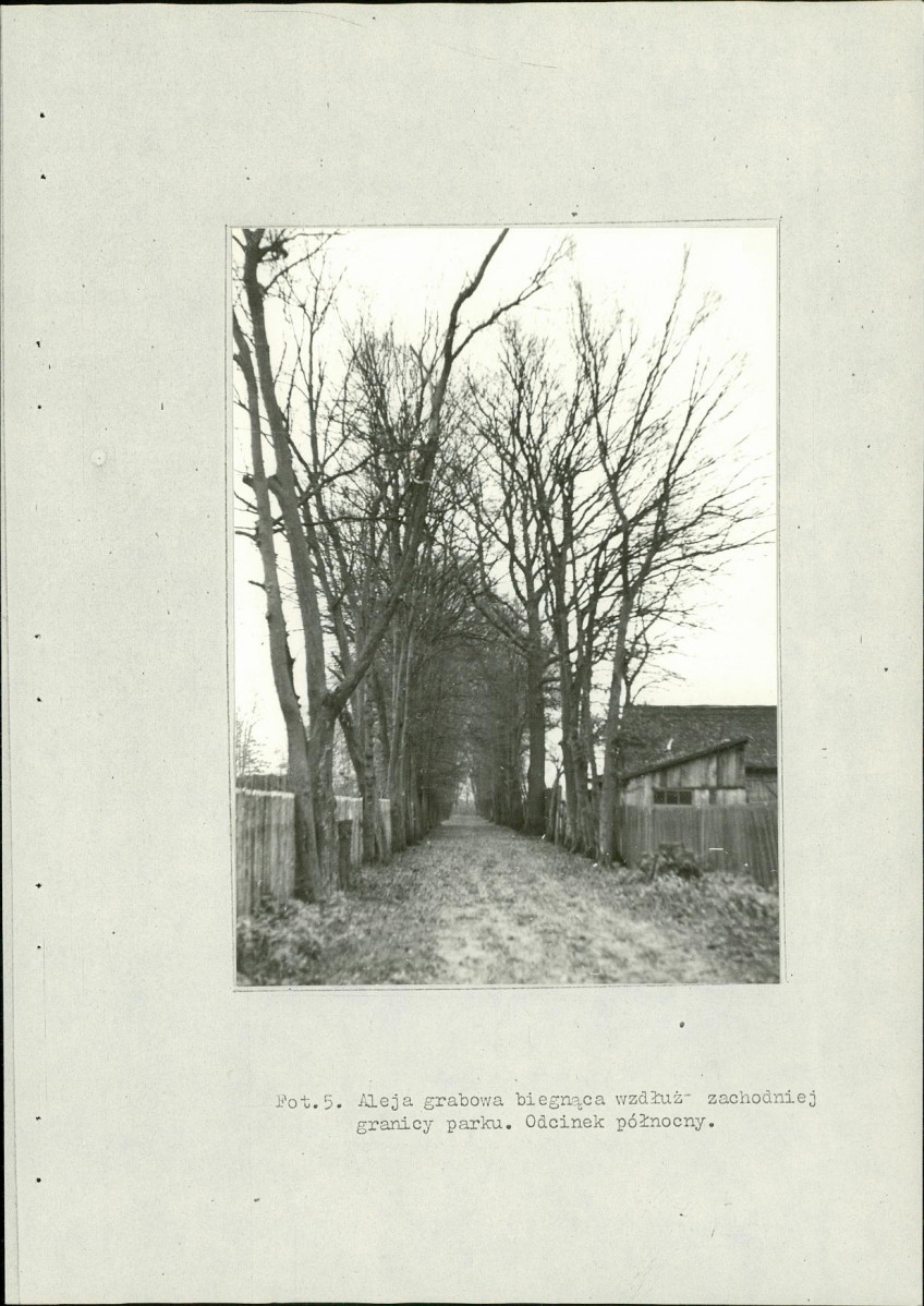 Ewidencja parkowa, skan nr 36