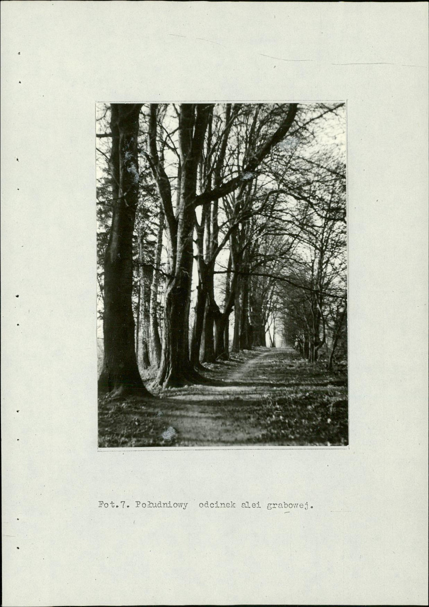 Ewidencja parkowa, skan nr 38