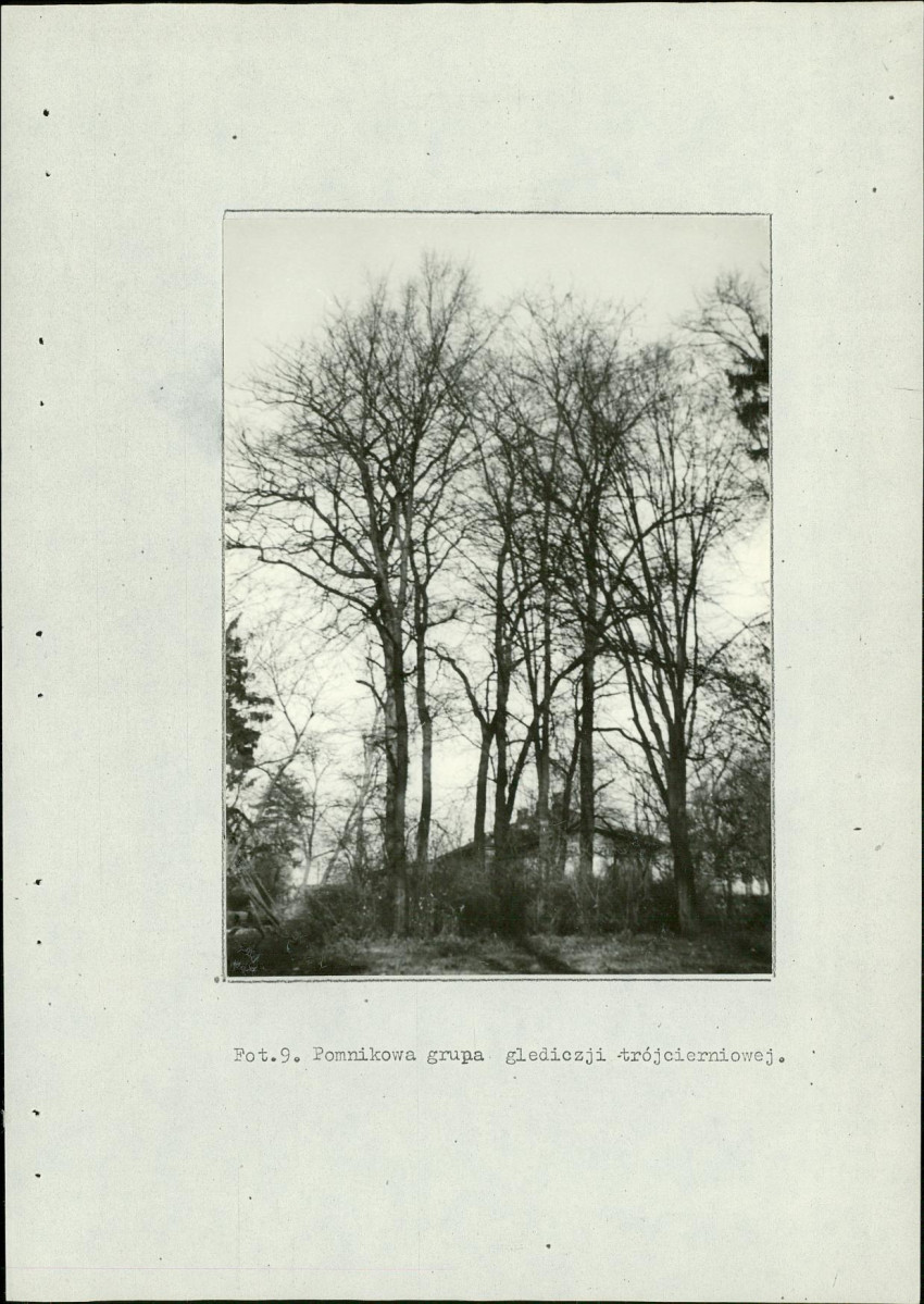Ewidencja parkowa, skan nr 40