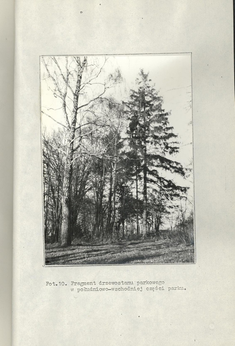 Ewidencja parkowa, skan nr 41