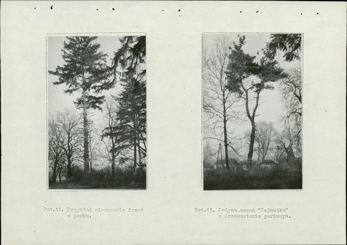 Ewidencja parkowa, skan nr 43