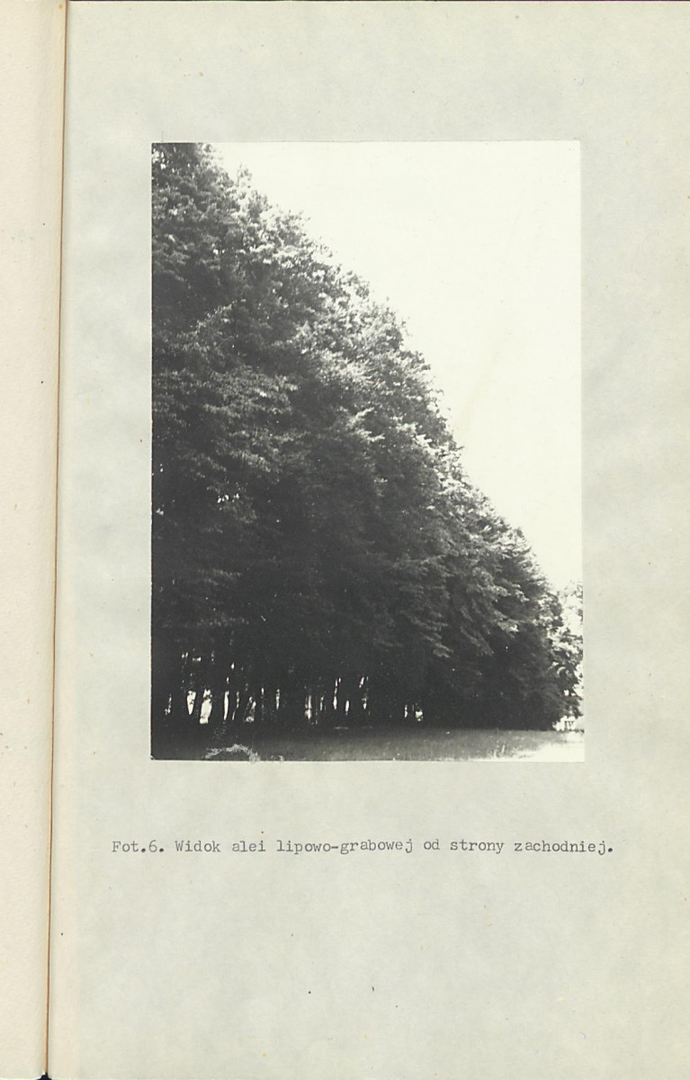 EP - Ewidencja parkowa, skan nr 32