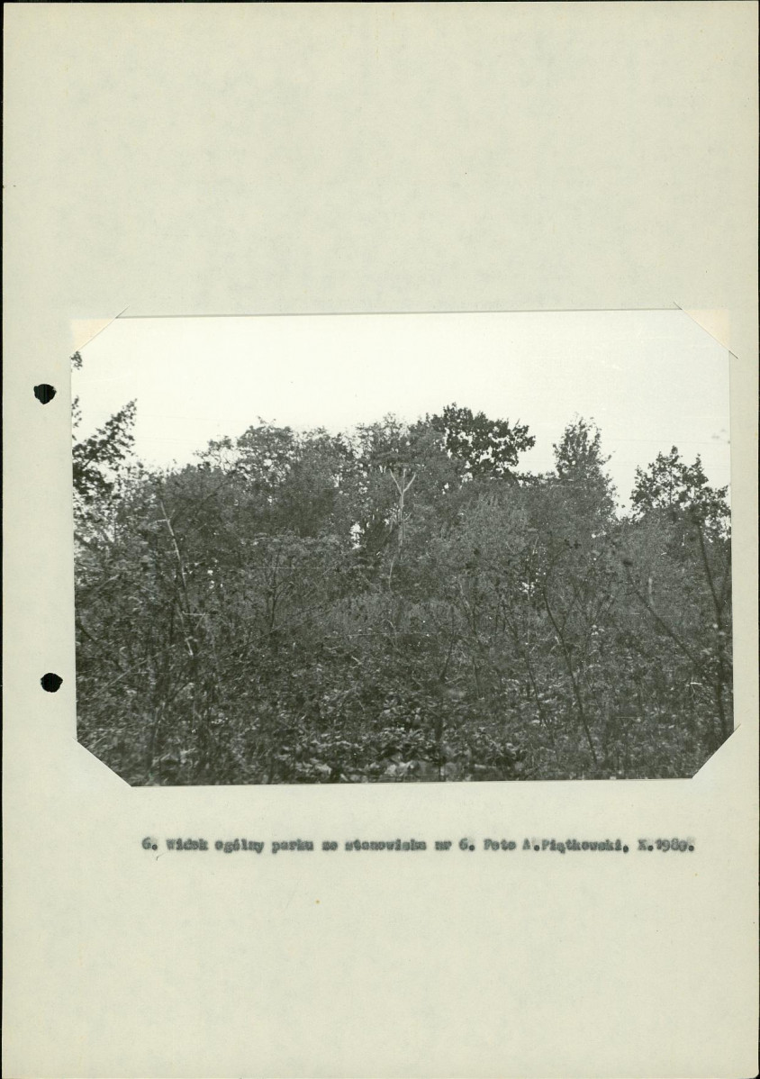 Ewidencja parkowa, skan nr 25
