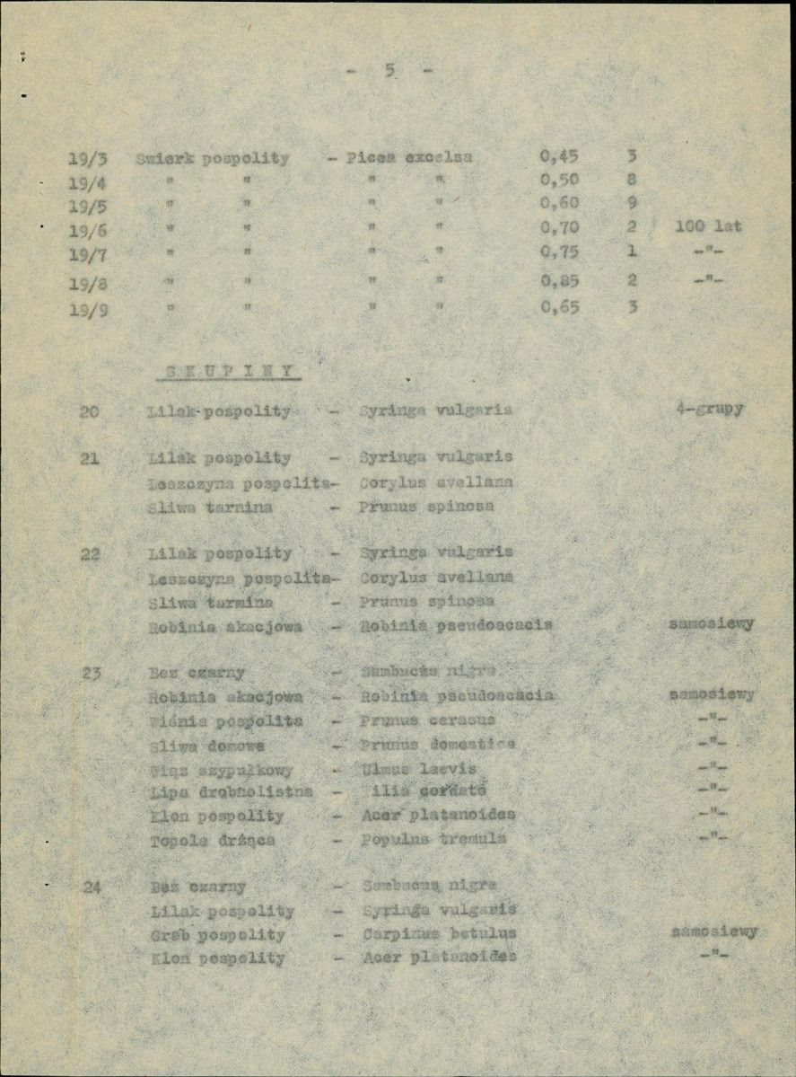 Ewidencja parkowa, skan nr 11