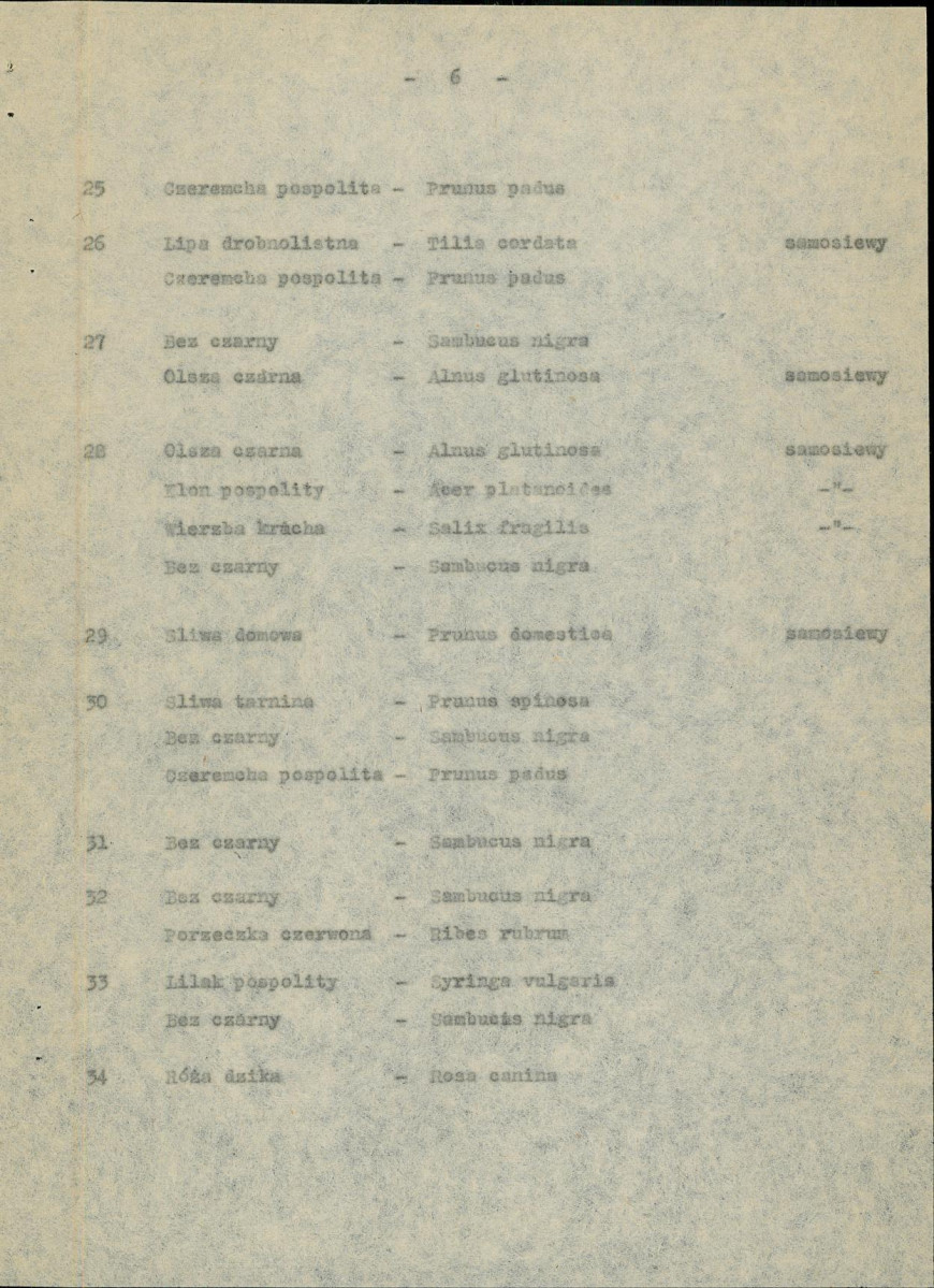 Ewidencja parkowa, skan nr 12