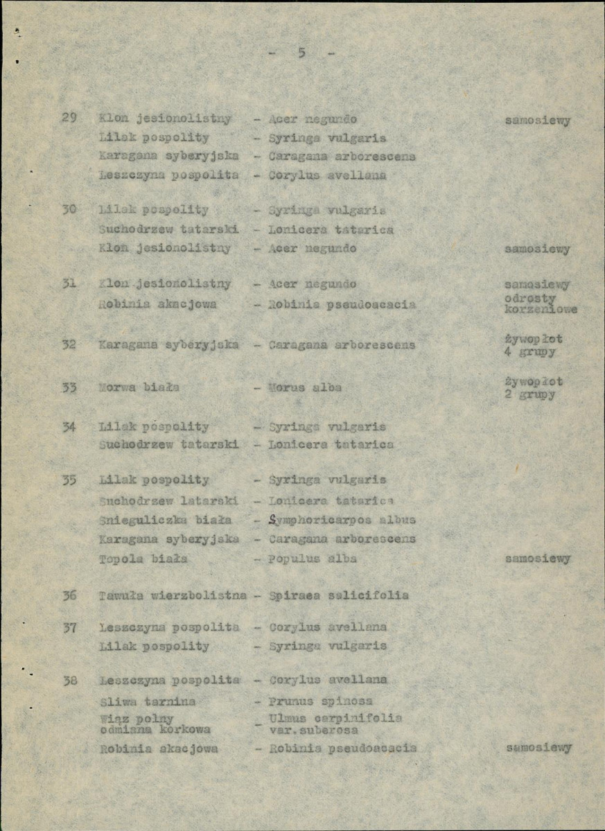 Ewidencja parkowa, skan nr 13