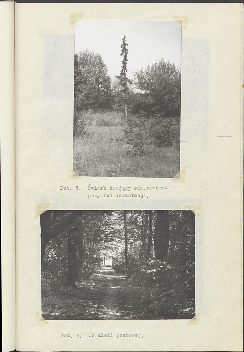 Ewidencja parkowa, skan nr 17