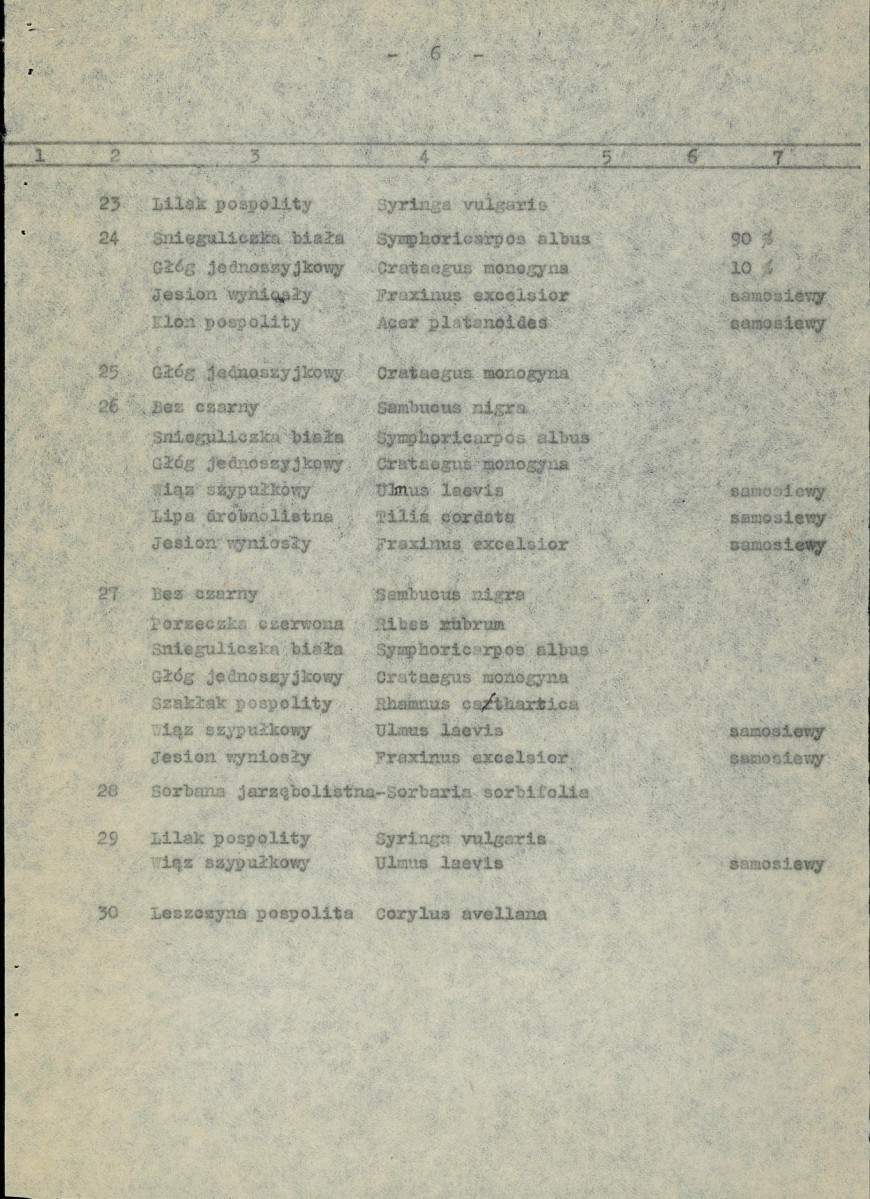 EP - Ewidencja parkowa, skan nr 13