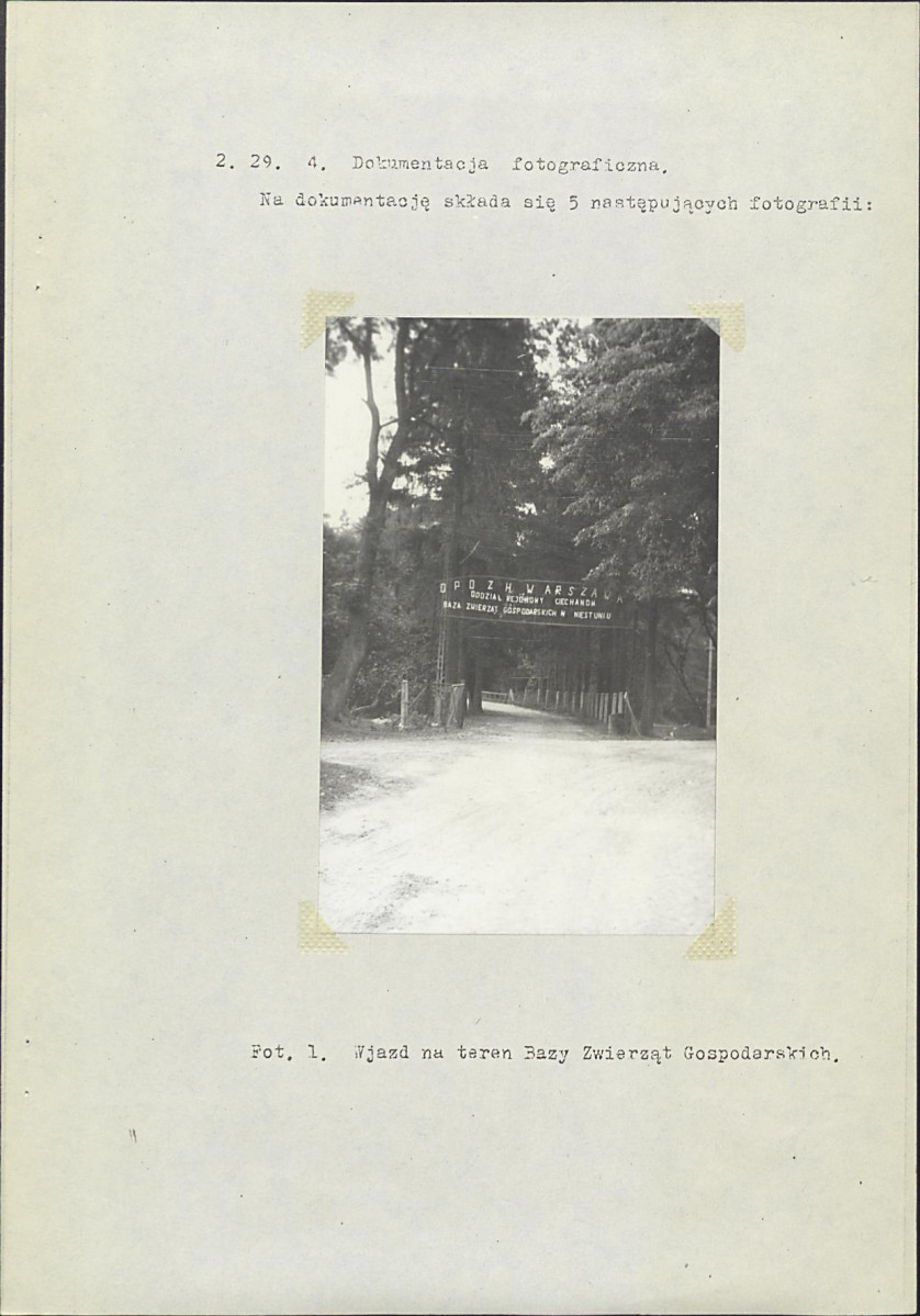 Ewidencja parkowa, skan nr 11