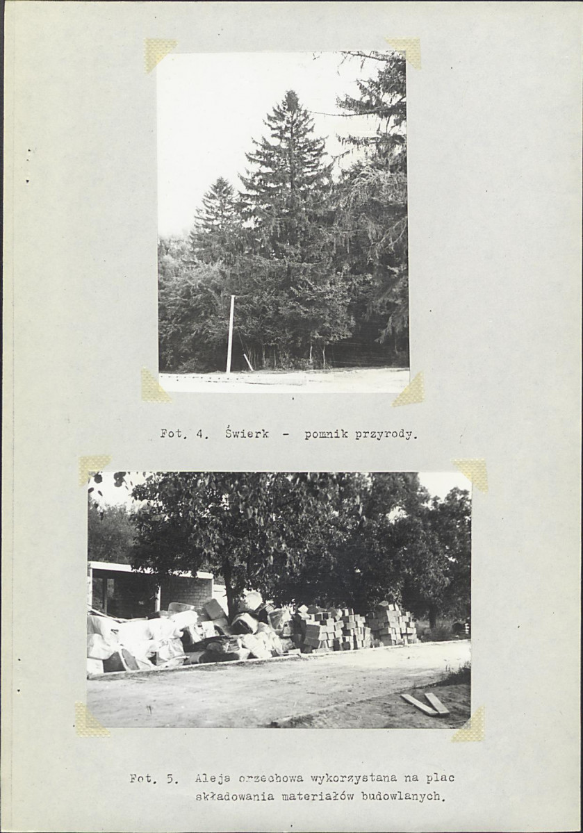 Ewidencja parkowa, skan nr 13