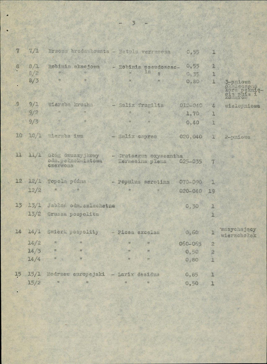 Ewidencja parkowa, skan nr 11
