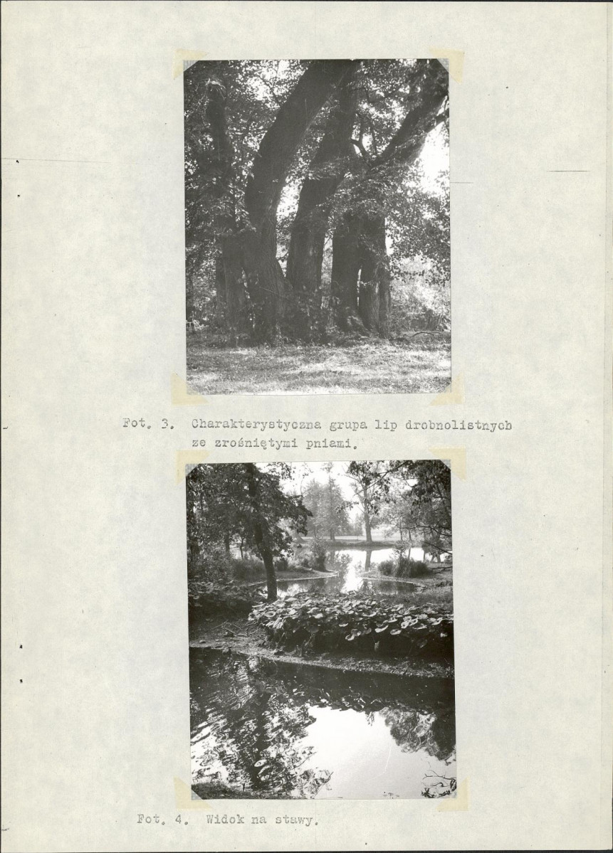 Ewidencja parkowa, skan nr 15