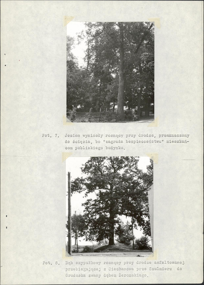 Ewidencja parkowa, skan nr 17