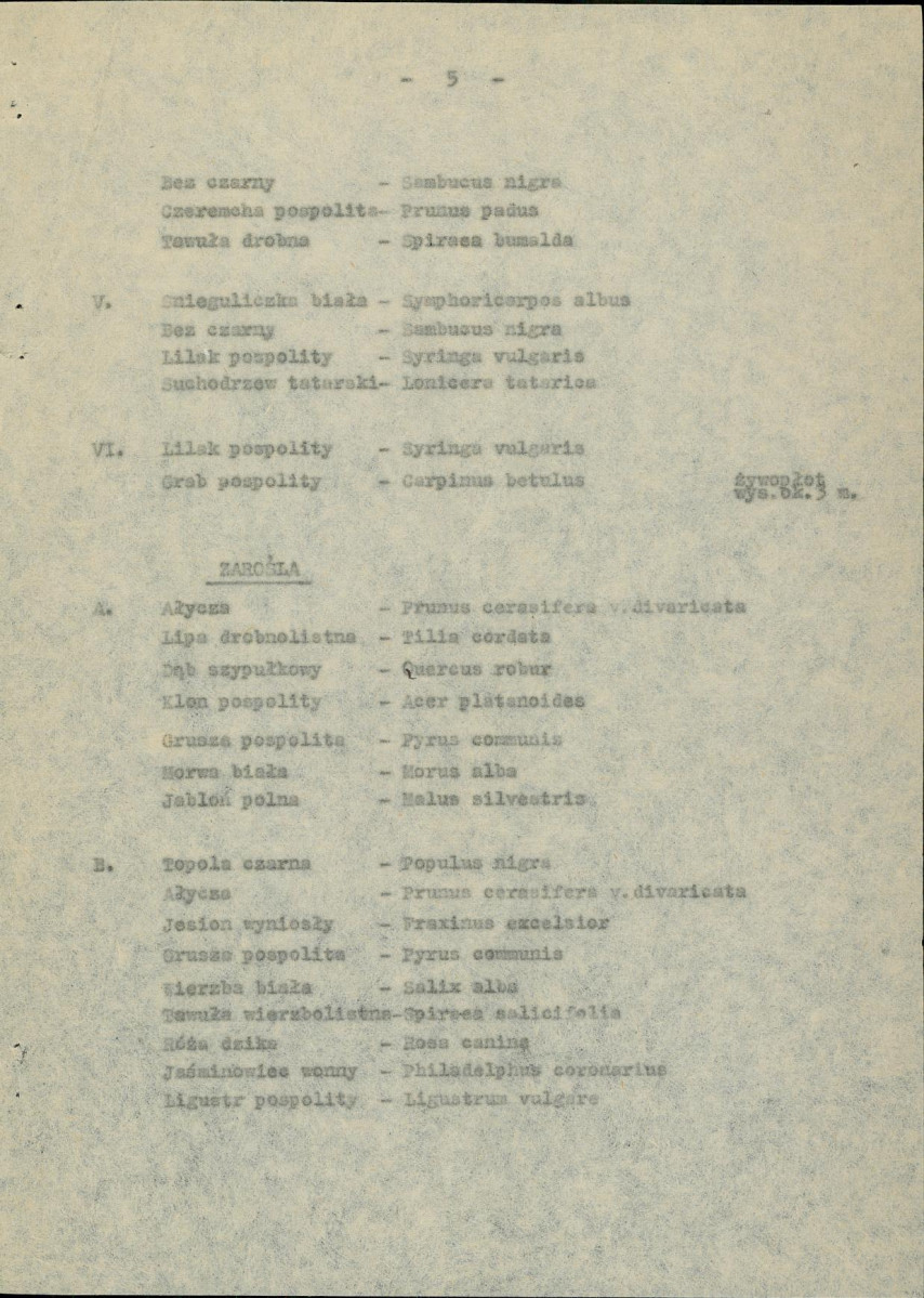 Ewidencja parkowa, skan nr 13