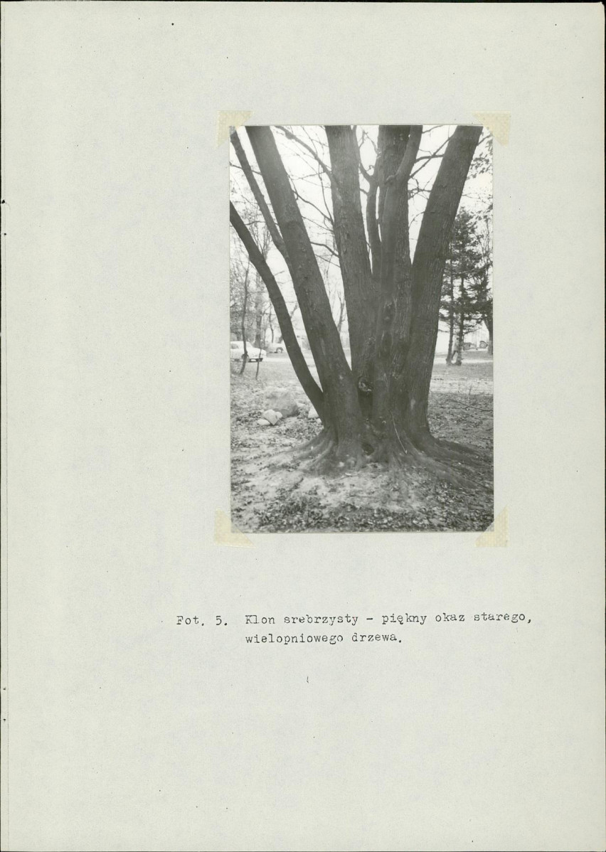 Ewidencja parkowa, skan nr 18