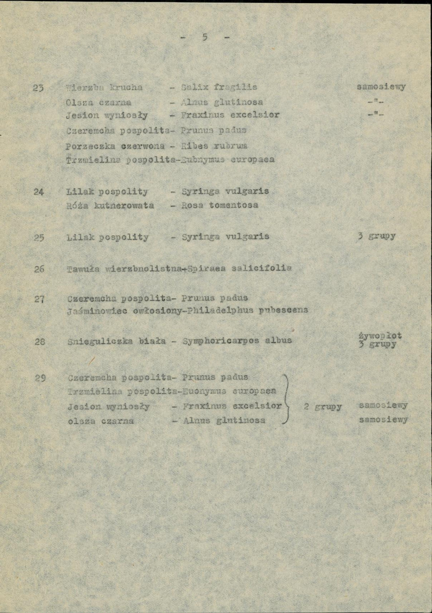 Ewidencja parkowa, skan nr 13