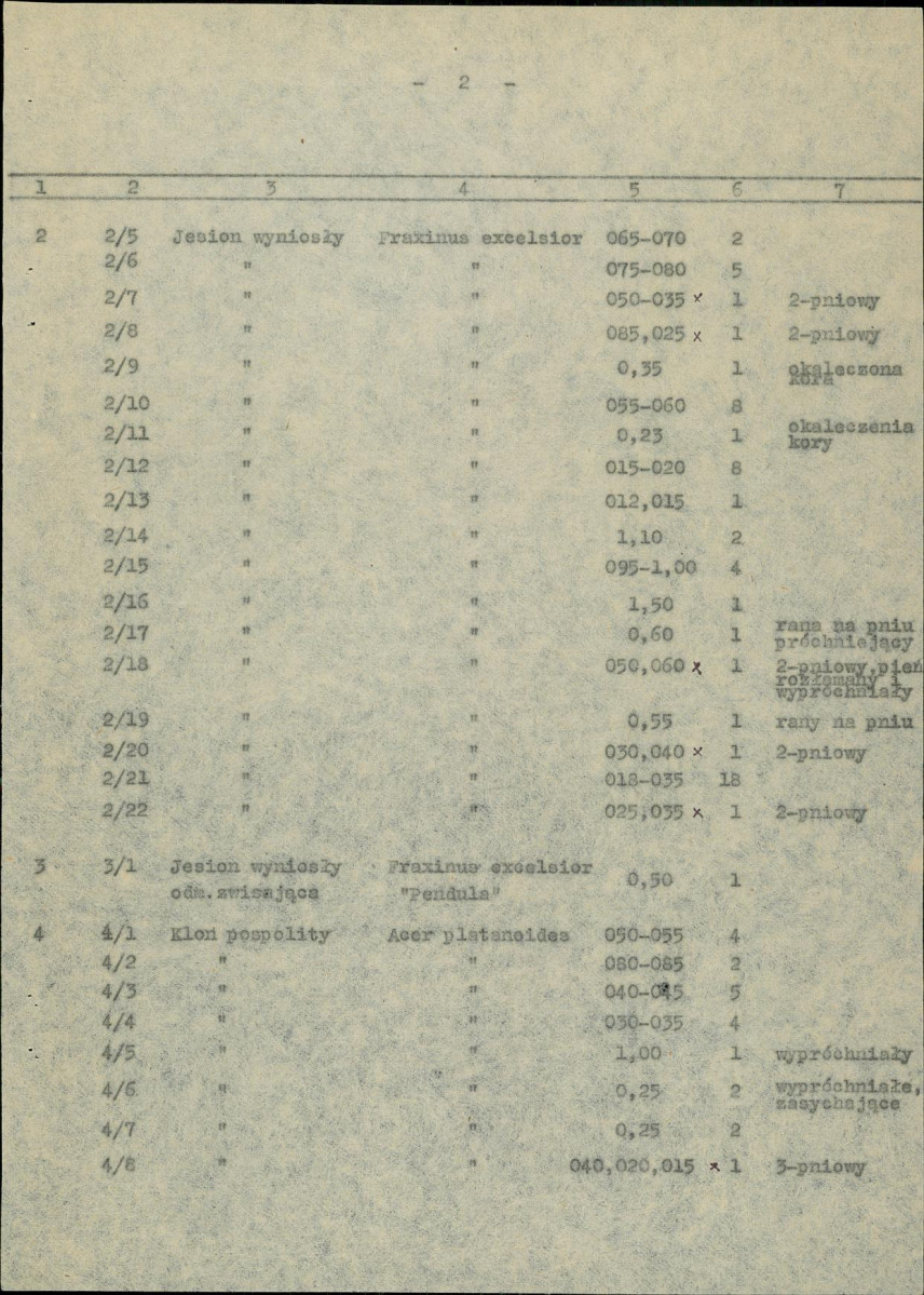 Ewidencja parkowa, skan nr 19