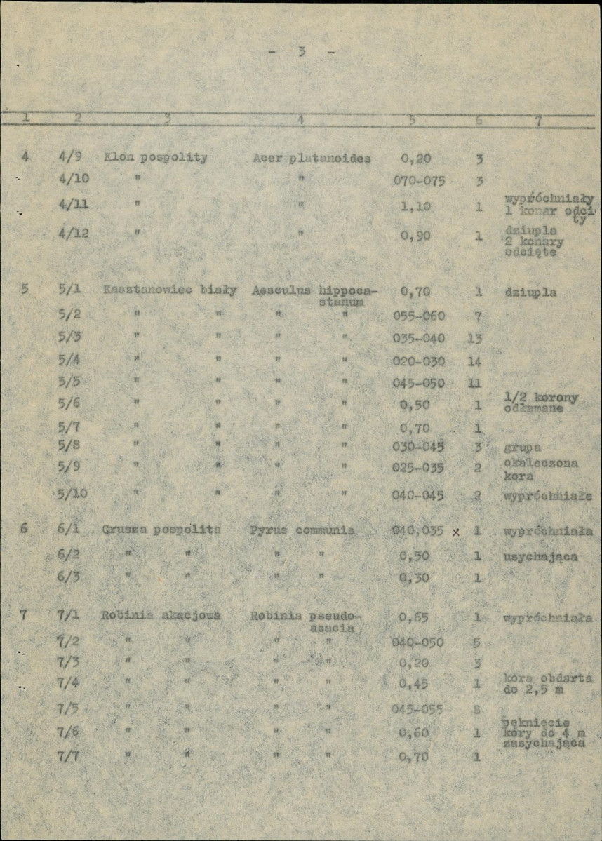 Ewidencja parkowa, skan nr 20