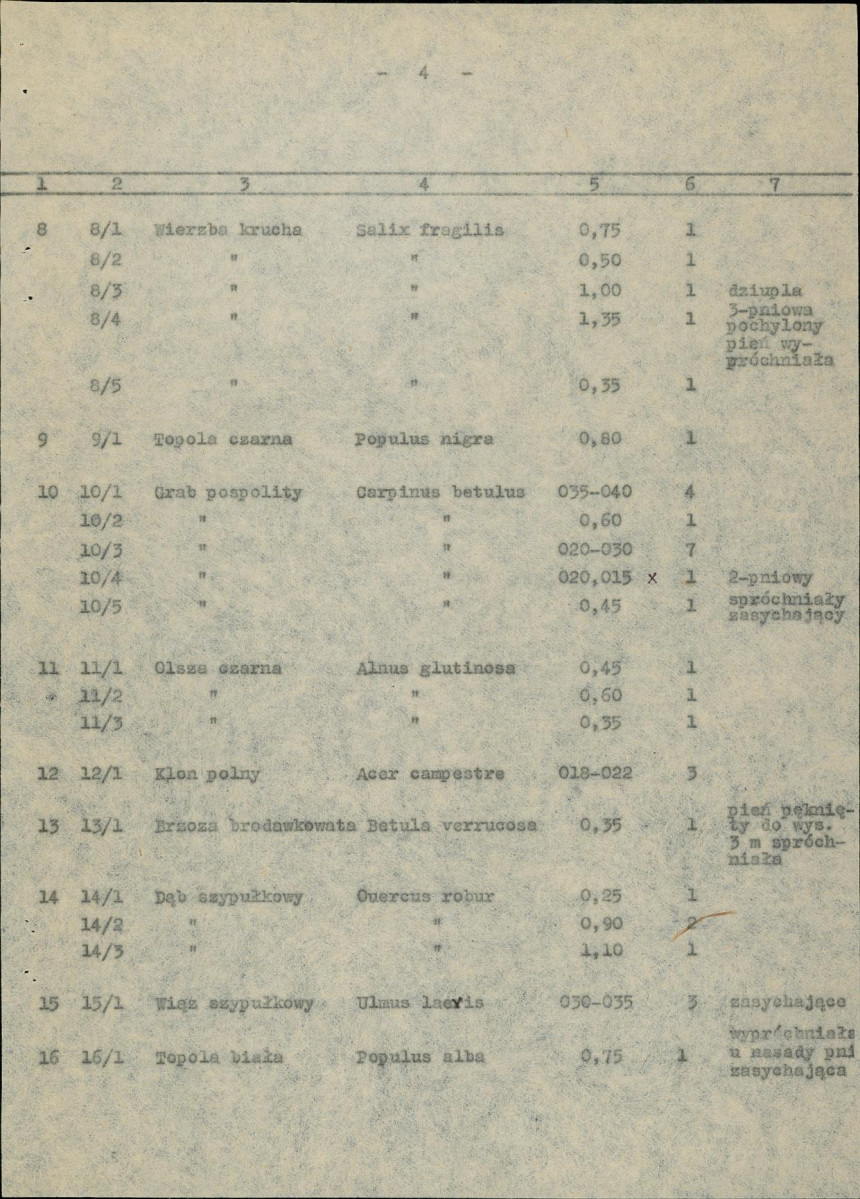 Ewidencja parkowa, skan nr 21