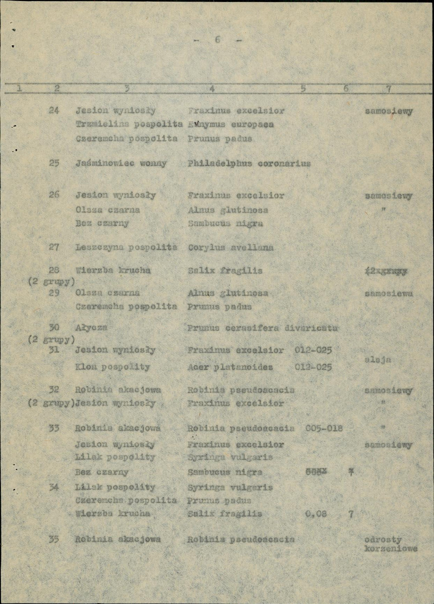 Ewidencja parkowa, skan nr 23