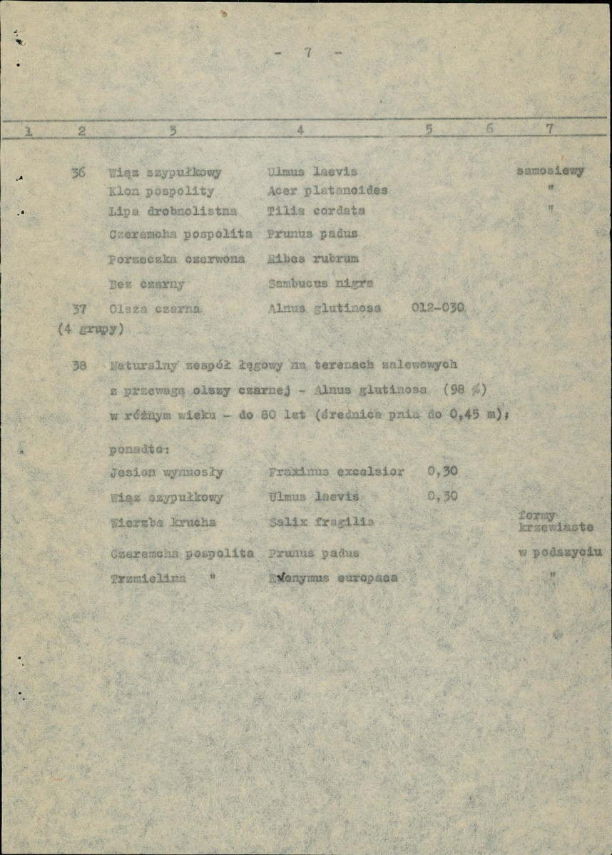 Ewidencja parkowa, skan nr 24