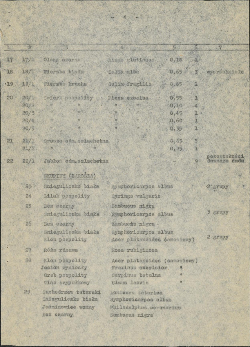 Ewidencja parkowa, skan nr 11