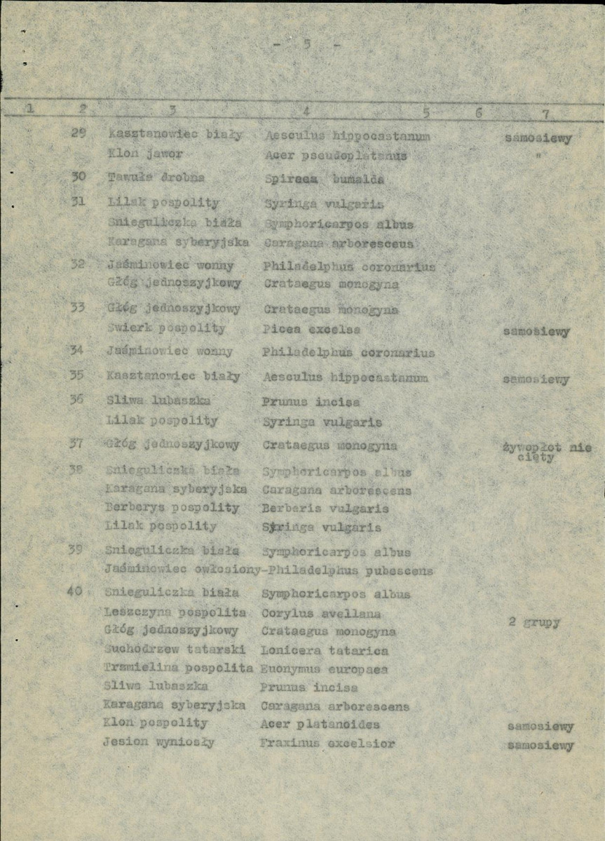 Ewidencja parkowa, skan nr 12