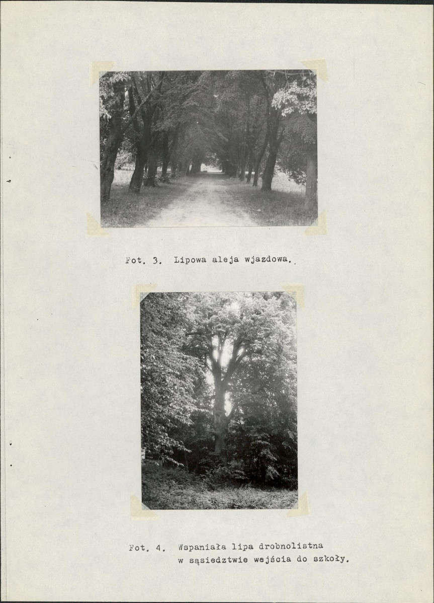 Ewidencja parkowa, skan nr 16