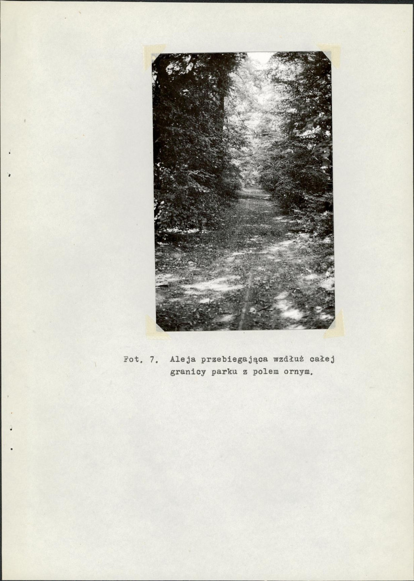 Ewidencja parkowa, skan nr 18