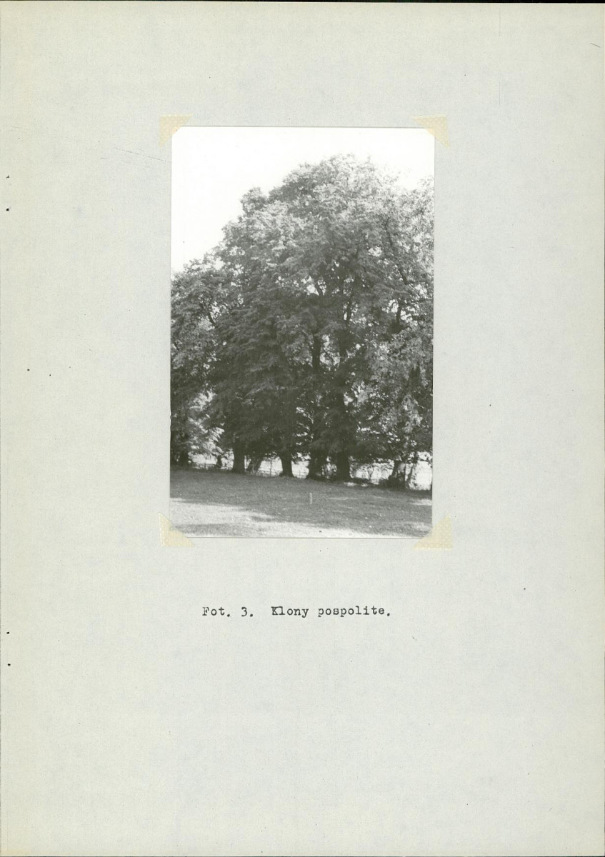 Ewidencja parkowa, skan nr 14