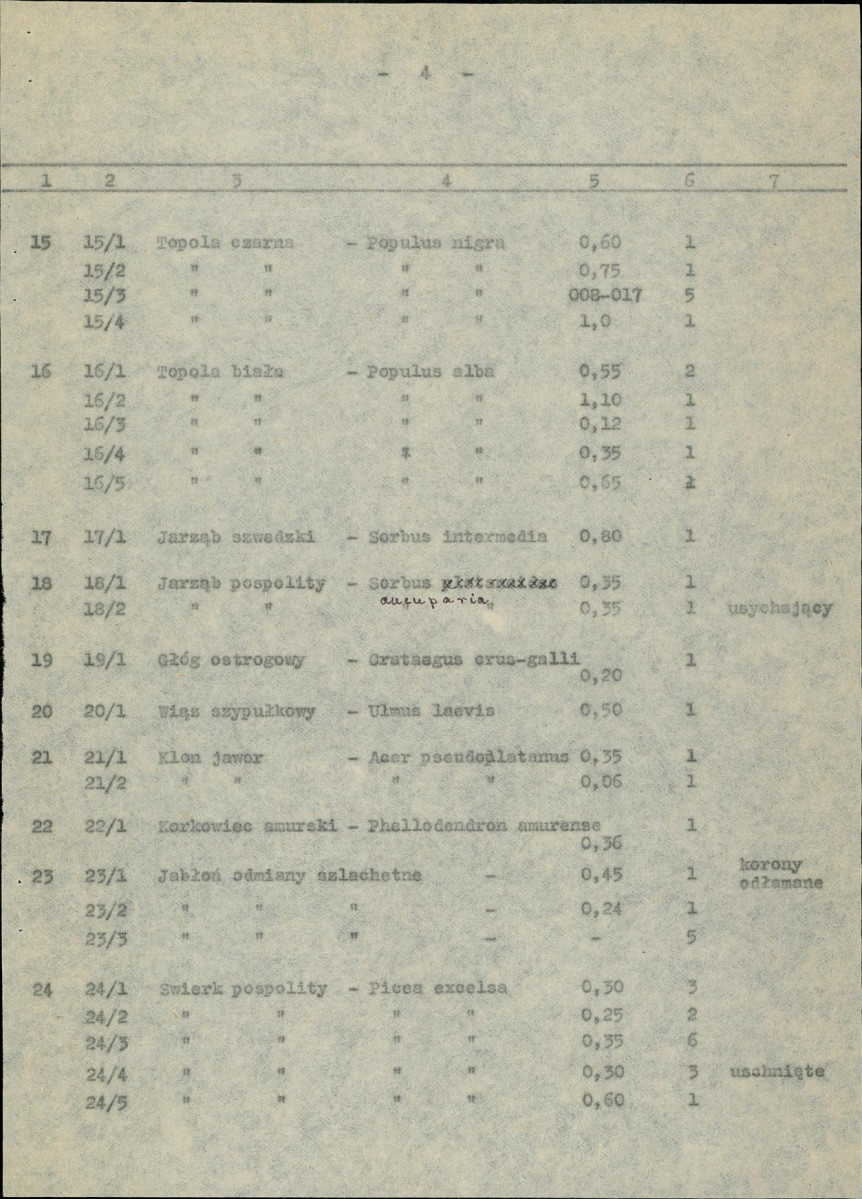 Ewidencja parkowa, skan nr 11