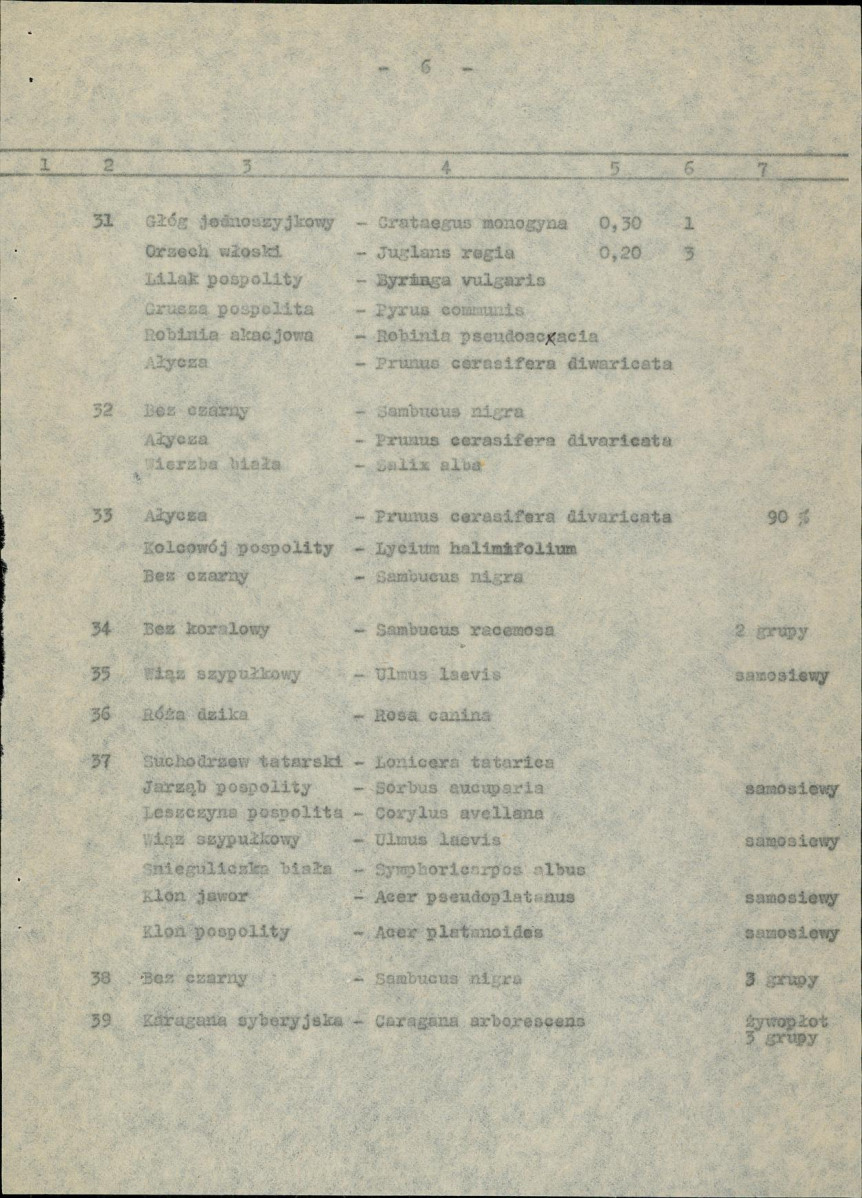 Ewidencja parkowa, skan nr 13