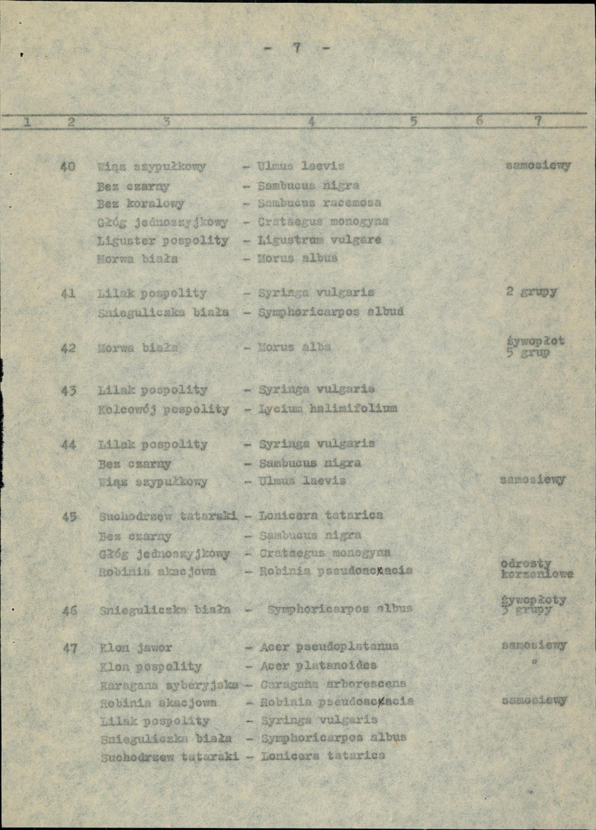 Ewidencja parkowa, skan nr 14