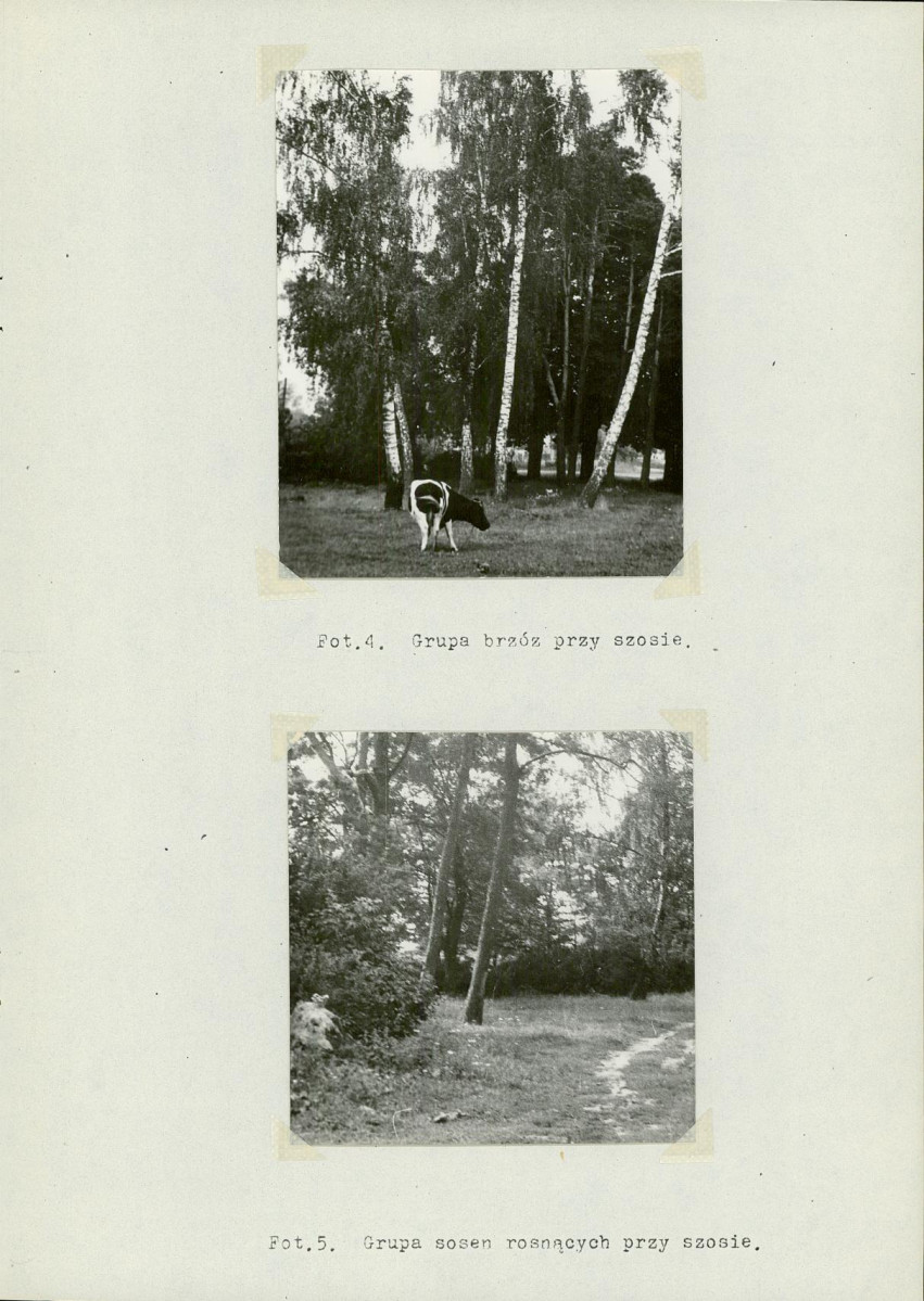 Ewidencja parkowa, skan nr 13