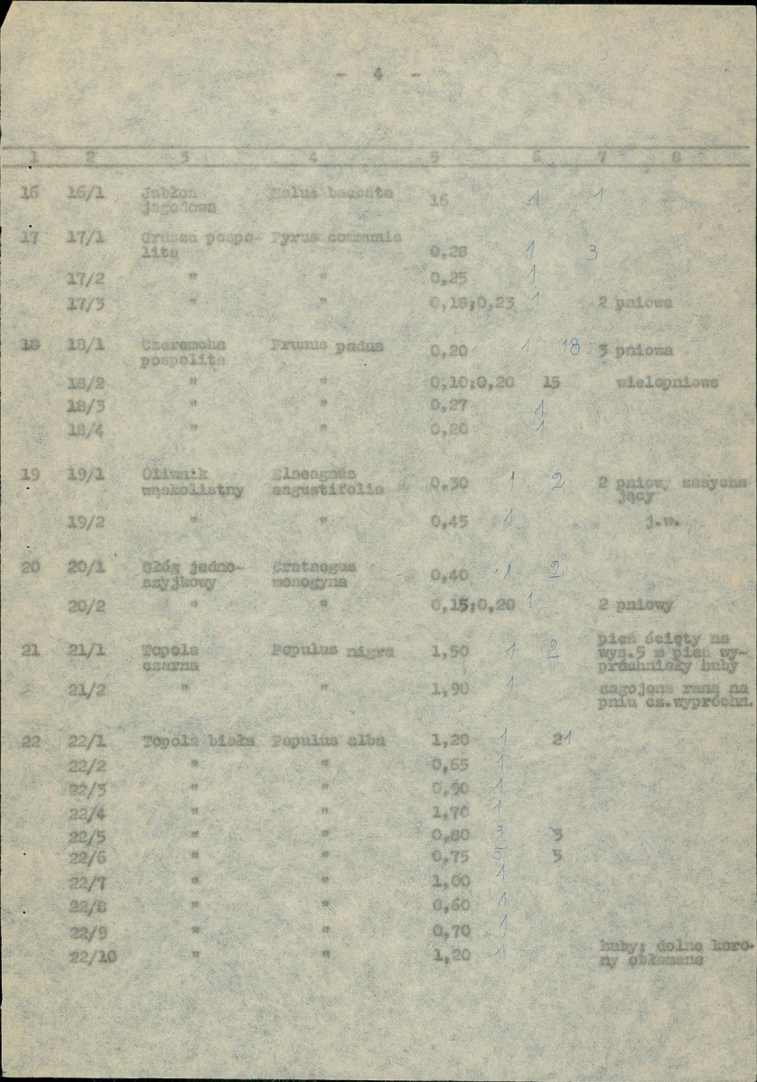 Ewidencja parkowa, skan nr 13
