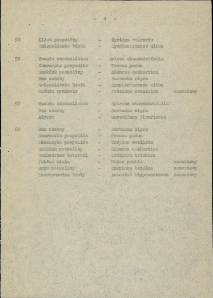 Ewidencja parkowa, skan nr 18