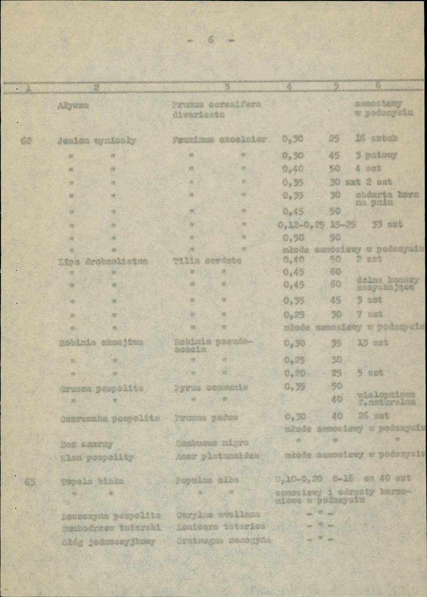 Ewidencja parkowa, skan nr 20