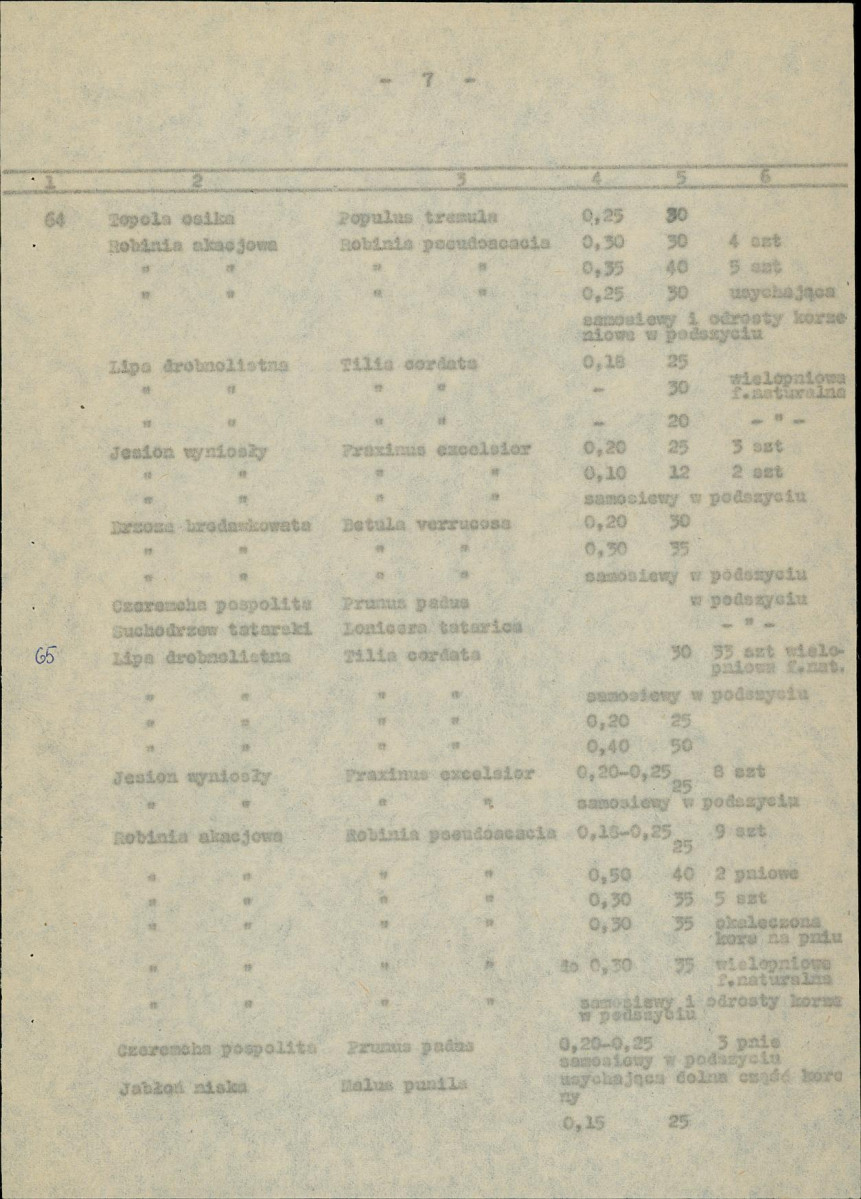 Ewidencja parkowa, skan nr 21