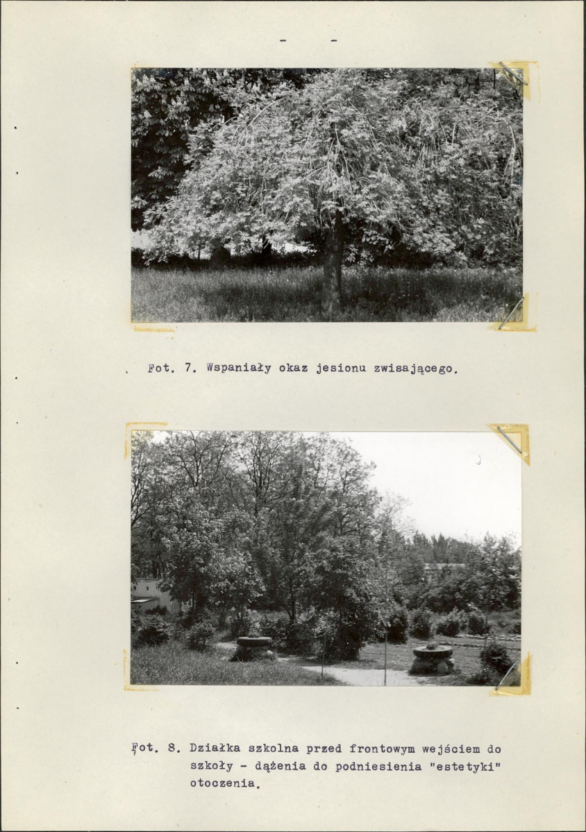 Ewidencja parkowa, skan nr 28