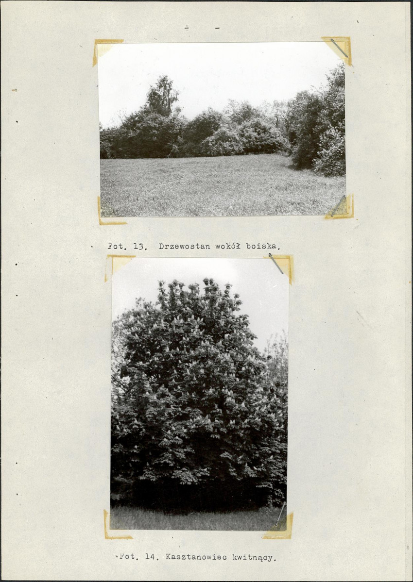 Ewidencja parkowa, skan nr 31