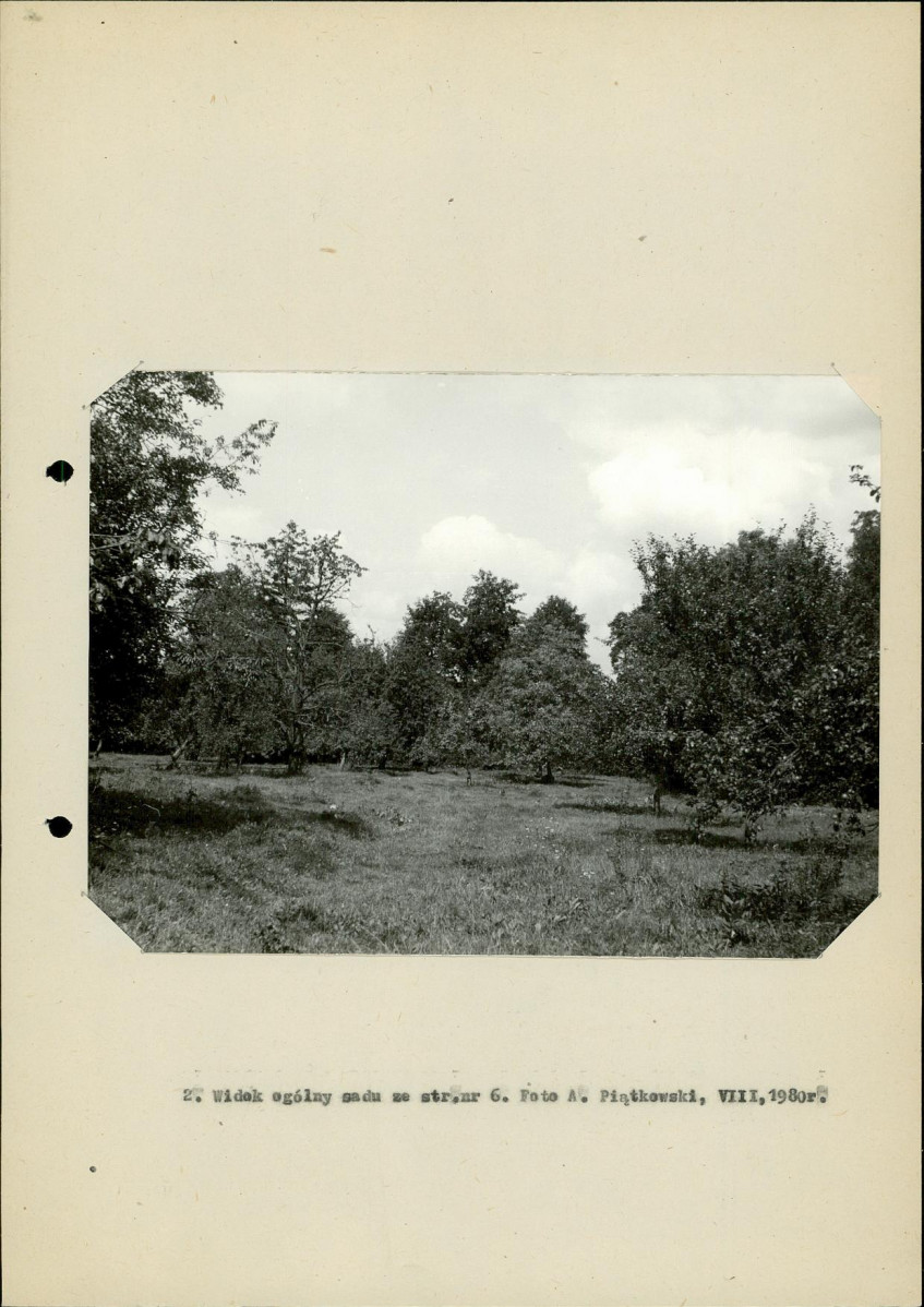 Ewidencja parkowa, skan nr 21