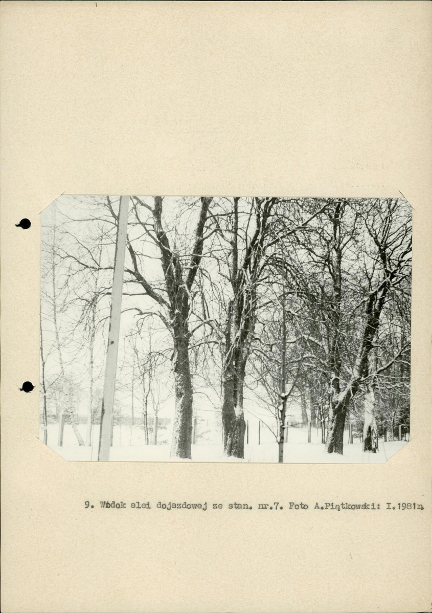 Ewidencja parkowa, skan nr 29