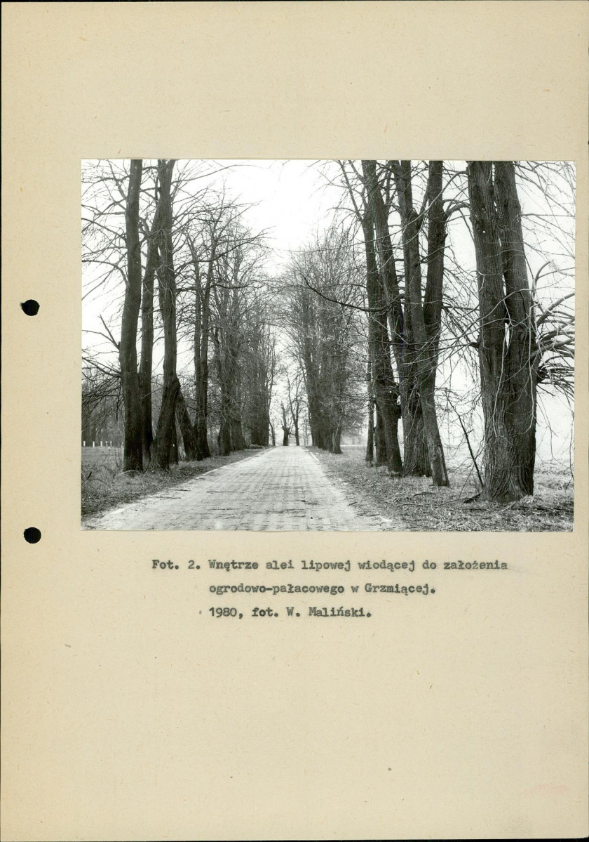 EP - Ewidencja parkowa, skan nr 14