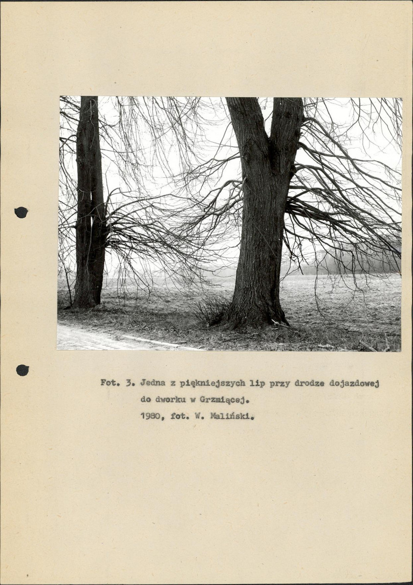 EP - Ewidencja parkowa, skan nr 15