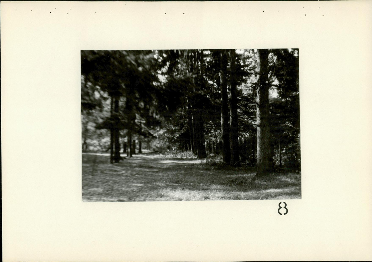 Ewidencja parkowa, skan nr 33
