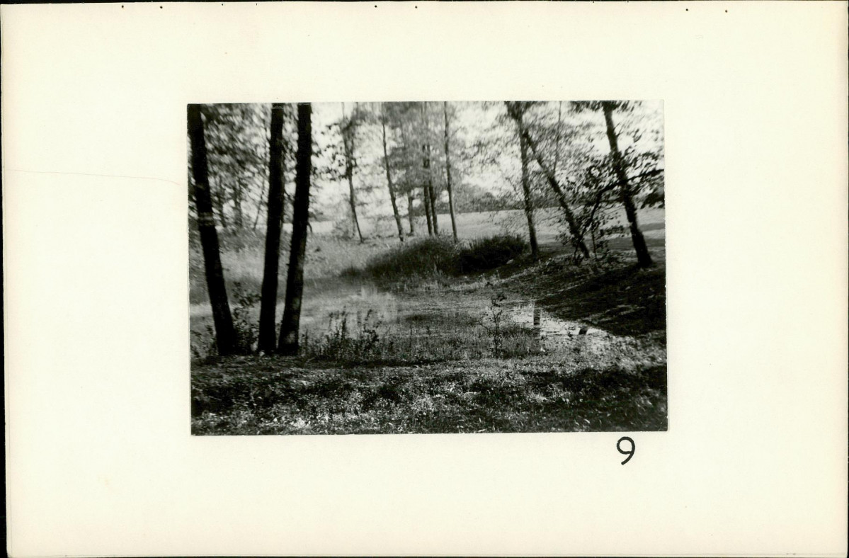 Ewidencja parkowa, skan nr 34