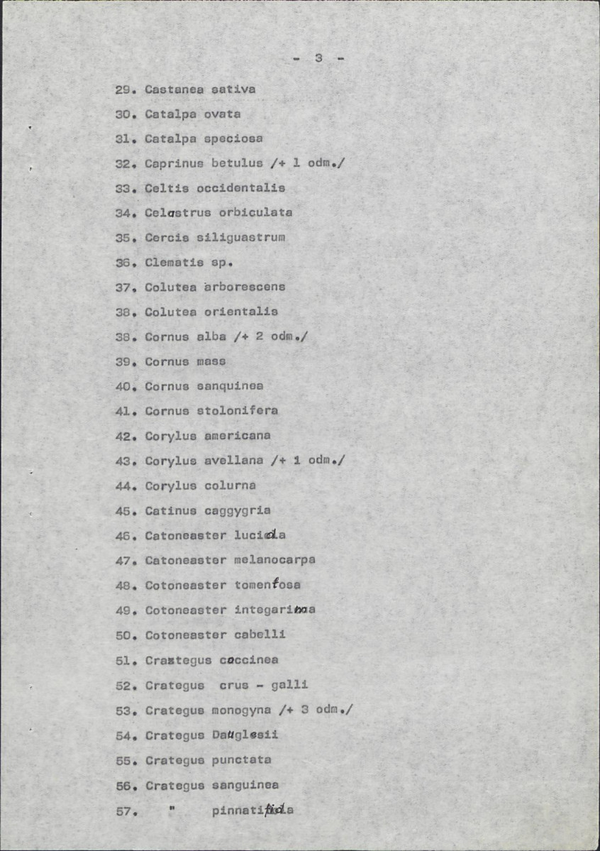Ewidencja parkowa, skan nr 23