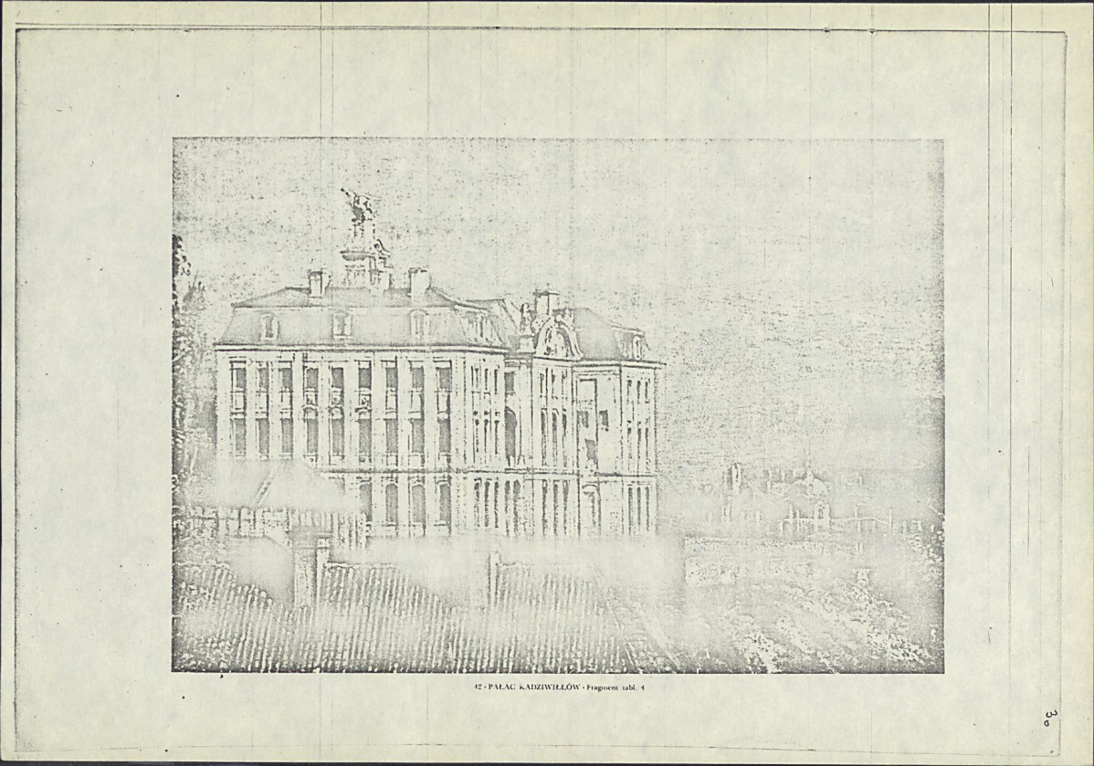 Ewidencja parkowa, skan nr 46